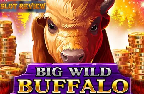 Big Wild Buffalo